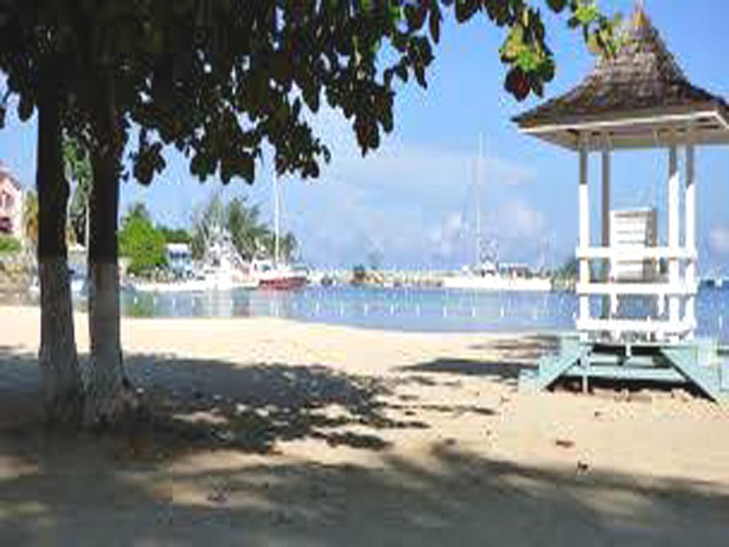 Turtle Beach Towers Apt 22 C - Ocho Rios Bagian luar foto